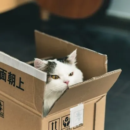 eb9337728634ad04d1669bb8b308f7f7